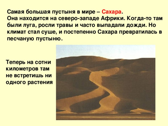 Самая большая пустыня в мире – Сахара . Она находится на северо-западе Африки. Когда-то там были луга, росли травы и часто выпадали дожди. Но климат стал суше, и постепенно Сахара превратилась в песчаную пустыню. Теперь на сотни километров там не встретишь ни одного растения 