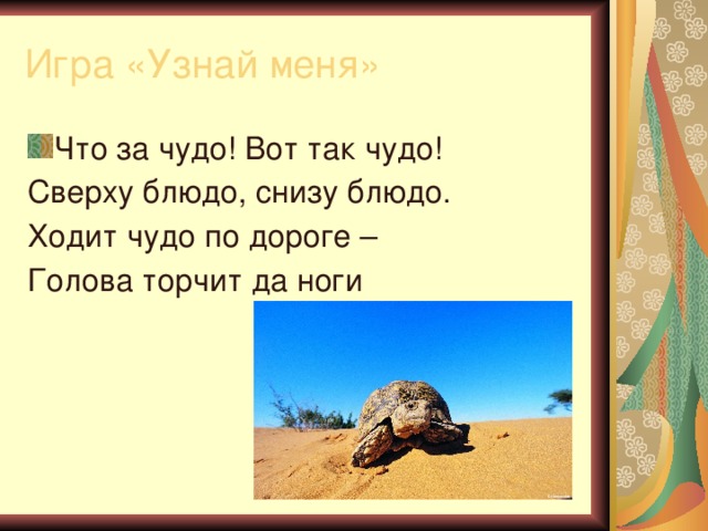 Игра «Узнай меня» Что за чудо! Вот так чудо! Сверху блюдо, снизу блюдо. Ходит чудо по дороге – Голова торчит да ноги 