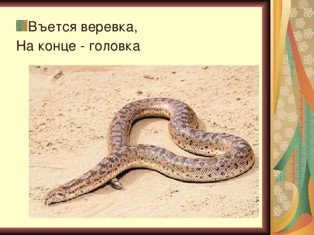 Въется веревка, На конце - головка 