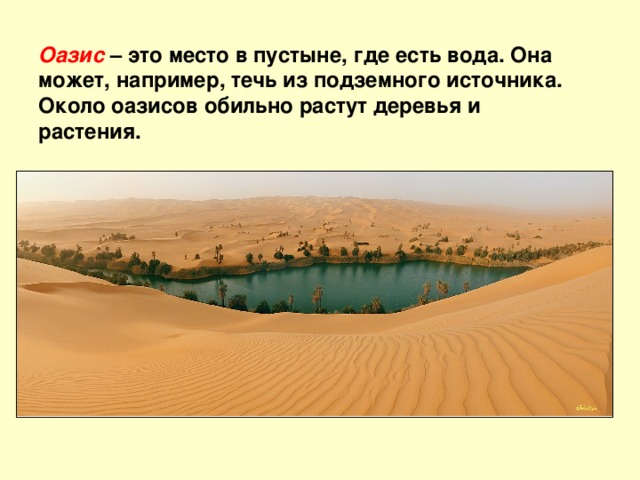 Оазис  – это место в пустыне, где есть вода. Она может, например, течь из подземного источника. Около оазисов обильно растут деревья и растения. 