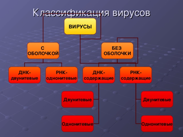 Классификация вирусов и их примеры Вирусы (9 класс)