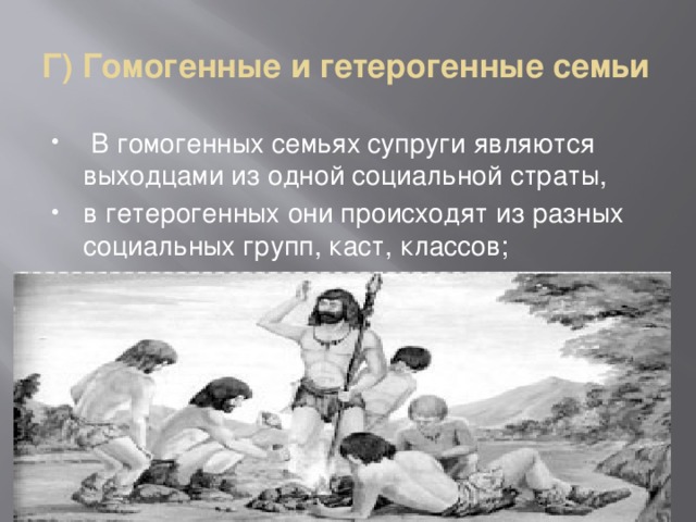 Г) Гомогенные и гетерогенные семьи  В гомогенных семьях супруги являются выходцами из одной социальной страты, в гетерогенных они происходят из разных социальных групп, каст, классов; 
