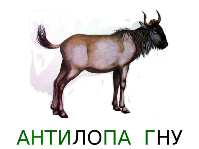 БЕ ГЕ МО Т 