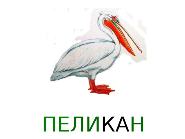 ЛЕ О ПА Р Д 
