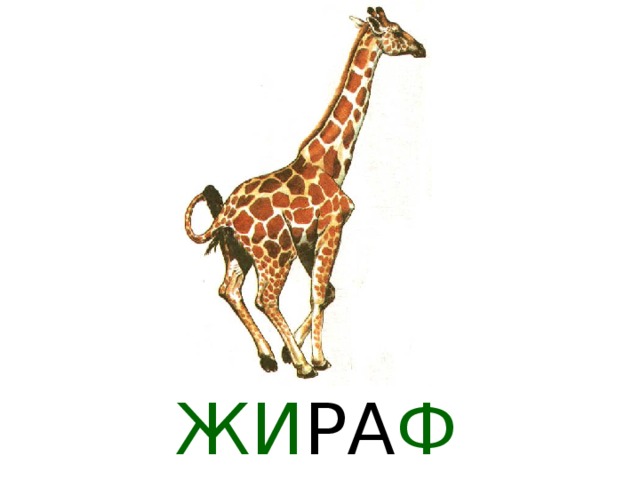 ГЕ ПА Р Д 