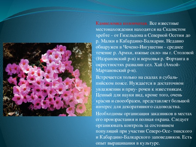Презентация Моя Кабардино-Балкария 4 класс - скачать бесплатно pptx