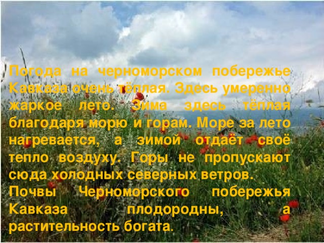Погода на черноморском побережье Кавказа очень тёплая. Здесь умеренно жаркое лето. Зима здесь тёплая благодаря морю и горам. Море за лето нагревается, а зимой отдаёт своё тепло воздуху. Горы не пропускают сюда холодных северных ветров. Почвы Черноморского побережья Кавказа плодородны, а растительность богата . 