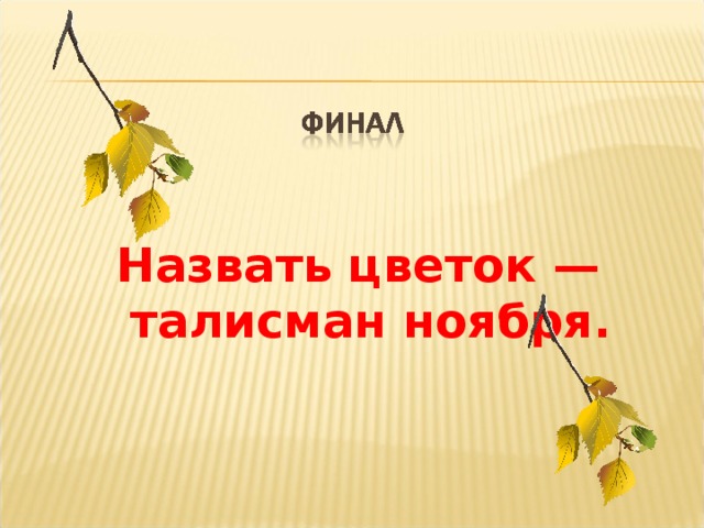 Назвать цветок — талисман ноября.