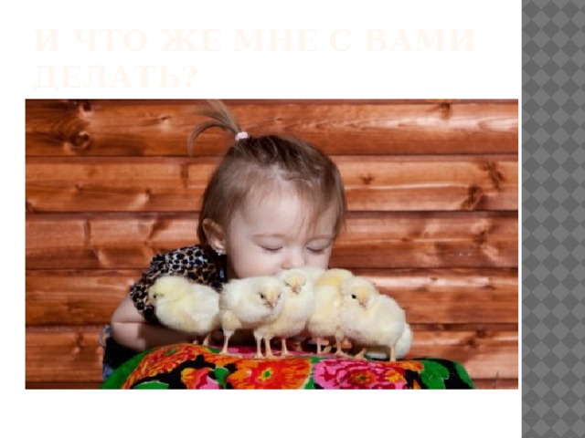 И что же мне с вами делать? 