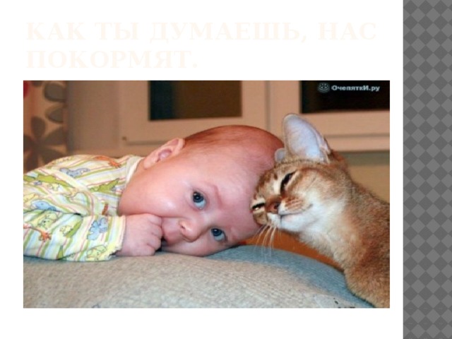 Как ты думаешь, нас покормят. 