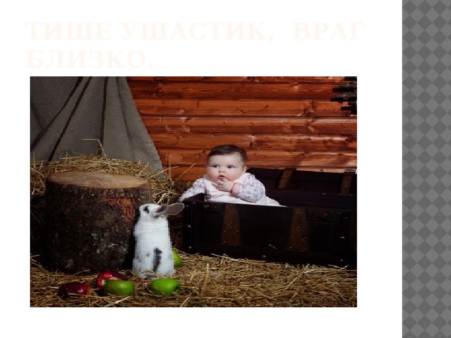 Тише ушастик, враг близко. 