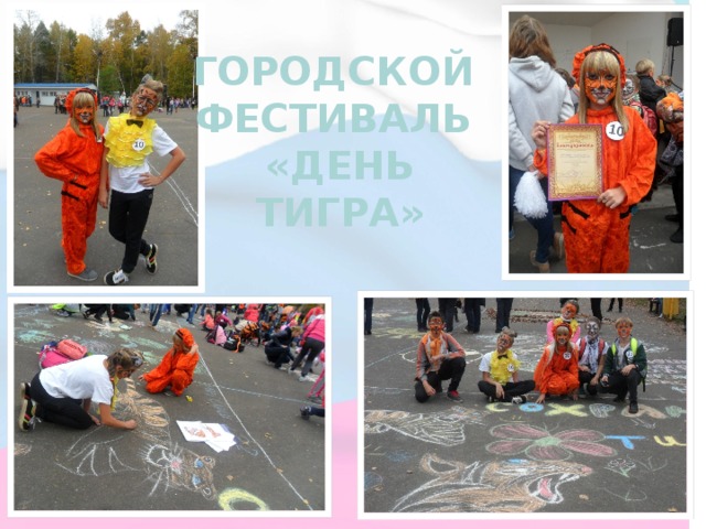 ГОРОДСКОЙ ФЕСТИВАЛЬ  «ДЕНЬ ТИГРА» 