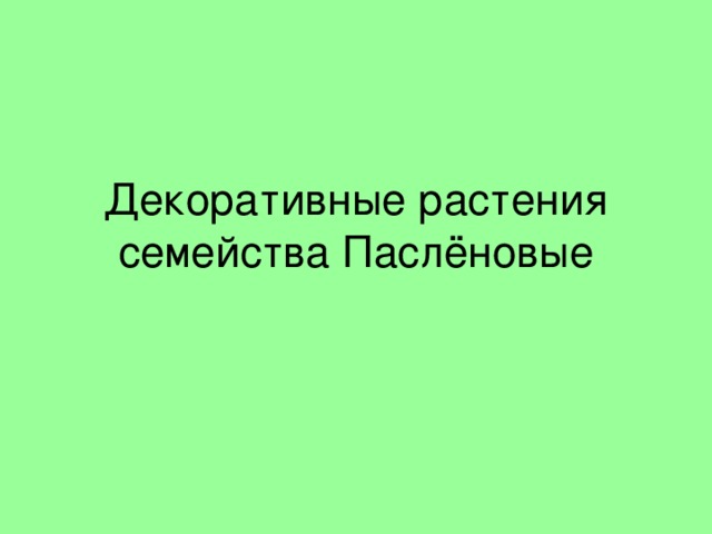 Декоративные растения семейства Паслёновые 