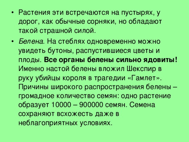Растения эти встречаются на пустырях, у дорог, как обычные сорняки, но обладают такой страшной силой. Белена . На стеблях одновременно можно увидеть бутоны, распустившиеся цветы и плоды. Все органы белены сильно ядовиты! Именно настой белены вложил Шекспир в руку убийцы короля в трагедии «Гамлет». Причины широкого распространения белены – громадное количество семян: одно растение образует 10000 – 900000 семян. Семена сохраняют всхожесть даже в неблагоприятных условиях. 