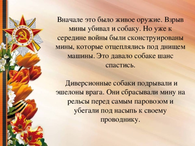 Вначале это было живое оружие. Взрыв мины убивал и собаку. Но уже к середине войны были сконструированы мины, которые отцеплялись под днищем машины. Это давало собаке шанс спастись.  Диверсионные собаки подрывали и эшелоны врага. Они сбрасывали мину на рельсы перед самым паровозом и убегали под насыпь к своему проводнику.   