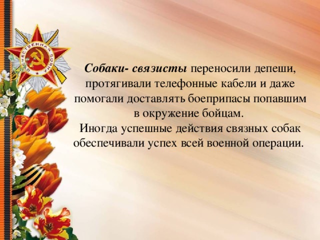 Собаки- связисты переносили депеши, протягивали телефонные кабели и даже помогали доставлять боеприпасы попавшим в окружение бойцам. Иногда успешные действия связных собак обеспечивали успех всей военной операции.  