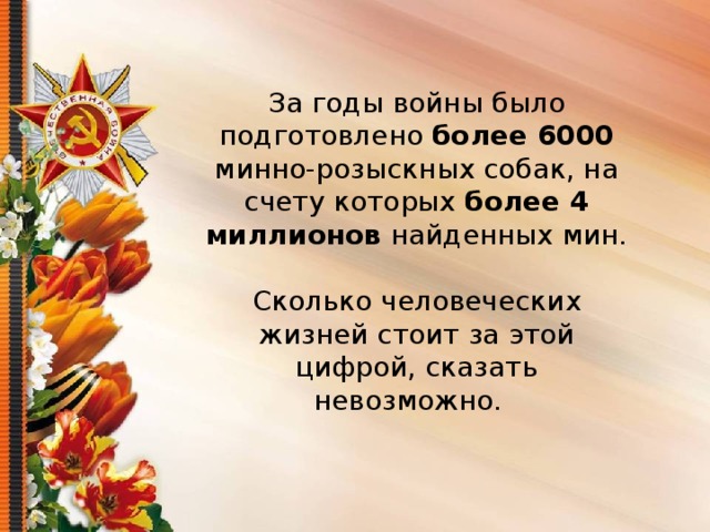 За годы войны было подготовлено более 6000 минно-розыскных собак, на счету которых более 4 миллионов найденных мин. Сколько человеческих жизней стоит за этой цифрой, сказать невозможно.  