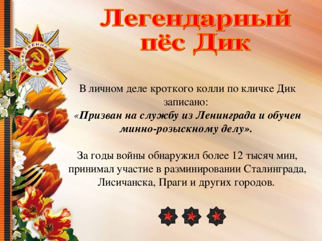 В личном деле кроткого колли по кличке Дик записано: « Призван на службу из Ленинграда и обучен минно-розыскному делу».   За годы войны обнаружил более 12 тысяч мин, принимал участие в разминировании Сталинграда, Лисичанска, Праги и других городов. 