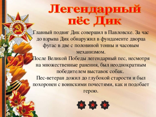 Главный подвиг Дик совершил в Павловске. За час до взрыва Дик обнаружил в фундаменте дворца фугас в две с половиной тонны и часовым механизмом. После Великой Победы легендарный пес, несмотря на множественные ранения, был неоднократным победителем выставок собак. Пес-ветеран дожил до глубокой старости и был похоронен с воинскими почестями, как и подобает герою. 