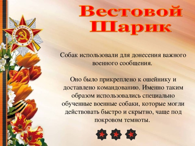 Собак использовали для донесения важного военного сообщения. Оно было прикреплено к ошейнику и доставлено командованию. Именно таким образом использовались специально обученные военные собаки, которые могли действовать быстро и скрытно, чаще под покровом темноты. 