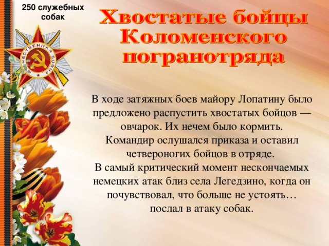 250 служебных собак В ходе затяжных боев майору Лопатину было предложено распустить хвостатых бойцов — овчарок. Их нечем было кормить. Командир ослушался приказа и оставил четвероногих бойцов в отряде. В самый критический момент нескончаемых немецких атак близ села Легедзино, когда он почувствовал, что больше не устоять… послал в атаку собак. 