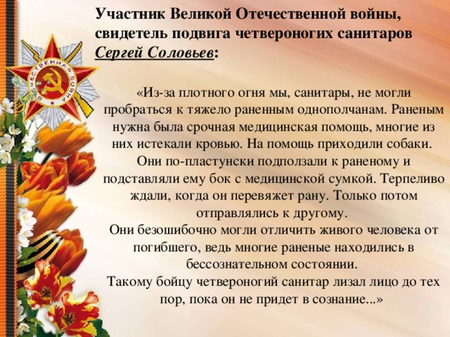 Участник Великой Отечественной войны, свидетель подвига четвероногих санитаров Сергей Соловьев : «Из-за плотного огня мы, санитары, не могли пробраться к тяжело раненным однополчанам. Раненым нужна была срочная медицинская помощь, многие из них истекали кровью. На помощь приходили собаки. Они по-пластунски подползали к раненому и подставляли ему бок с медицинской сумкой. Терпеливо ждали, когда он перевяжет рану. Только потом отправлялись к другому. Они безошибочно могли отличить живого человека от погибшего, ведь многие раненые находились в бессознательном состоянии. Такому бойцу четвероногий санитар лизал лицо до тех пор, пока он не придет в сознание...» 
