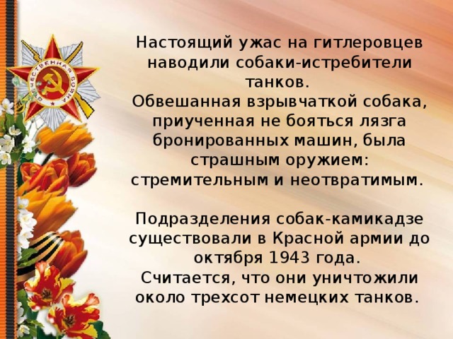Настоящий ужас на гитлеровцев наводили собаки-истребители танков. Обвешанная взрывчаткой собака, приученная не бояться лязга бронированных машин, была страшным оружием: стремительным и неотвратимым. Подразделения собак-камикадзе существовали в Красной армии до октября 1943 года. Считается, что они уничтожили около трехсот немецких танков. 