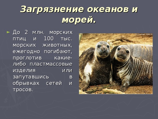 Загрязнение океанов и морей. До 2 млн. морских птиц и 100 тыс. морских животных, ежегодно погибают, проглотив какие-либо пластмассовые изделия или запутавшись в обрывках сетей и тросов. 