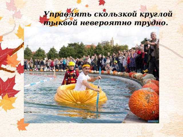 Управлять скользкой круглой тыквой невероятно трудно. 
