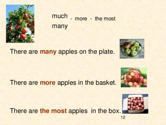 much  - more - the most  many  There are many apples on the plate. There are more apples in the basket. There are the most apples in the box. 