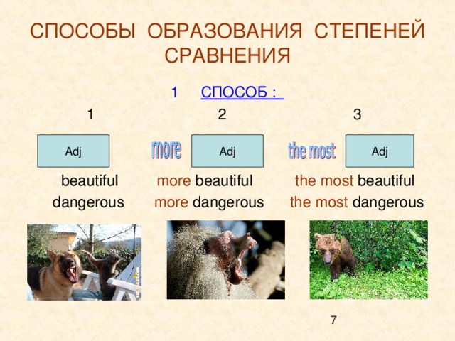 СПОСОБЫ ОБРАЗОВАНИЯ СТЕПЕНЕЙ  СРАВНЕНИЯ СПОСОБ :  1 2 3    beautiful more beautiful the most beautiful  dangerous more dangerous the most dangerous    Adj Adj Adj 