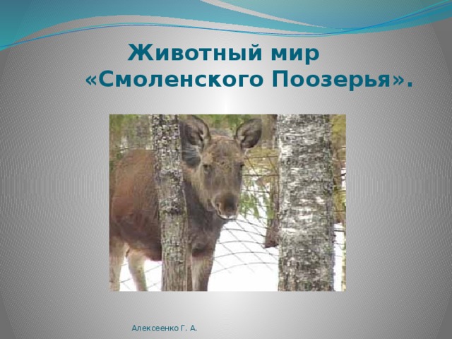  По своему прекрасны и  неповторимы озёра  Круглое  Глубокое  Долгое  Петровское  Мутное  Святец  Щучье Алексеенко Г. А. 