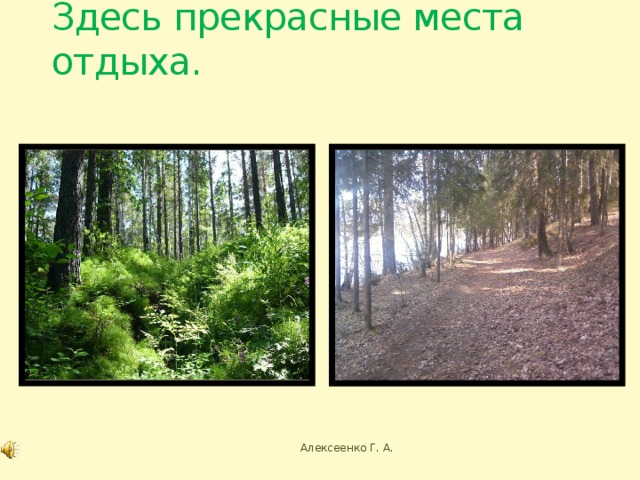 Алексеенко Г. А. 