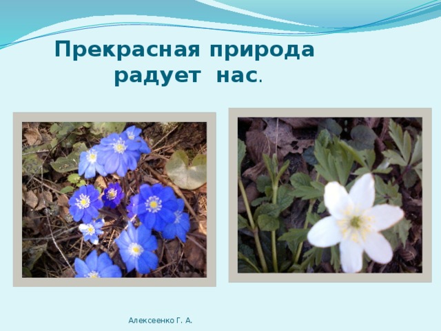 Санаторий «Пржевальское» Алексеенко Г. А. 