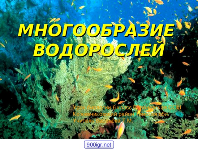 Жизненный цикл хламидомонады Определите, какой путь размножения справа и слева?