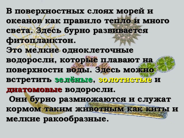 МНОГООБРАЗИЕ ВОДОРОСЛЕЙ Урок биологии 6 класс Вороновская СОШ Кожевниковский район Томская обл. Учитель Васенёва Т.М. 900igr.net
