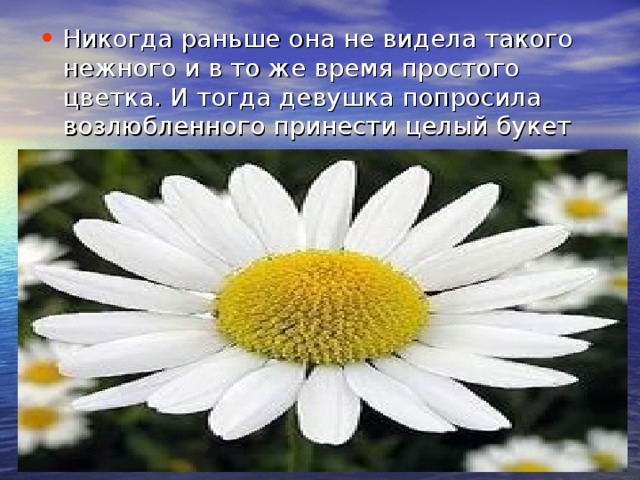 Никогда раньше она не видела такого нежного и в то же время простого цветка. И тогда девушка попросила возлюбленного принести целый букет этих красивых цветов.  