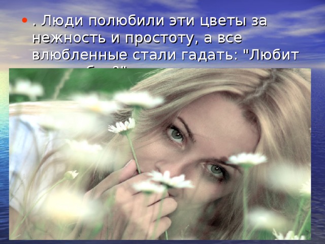. Люди полюбили эти цветы за нежность и простоту, а все влюбленные стали гадать: 