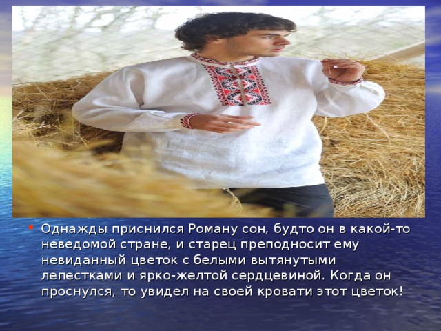Однажды приснился Роману сон, будто он в какой-то неведомой стране, и старец преподносит ему невиданный цветок с белыми вытянутыми лепестками и ярко-желтой сердцевиной. Когда он проснулся, то увидел на своей кровати этот цветок! 