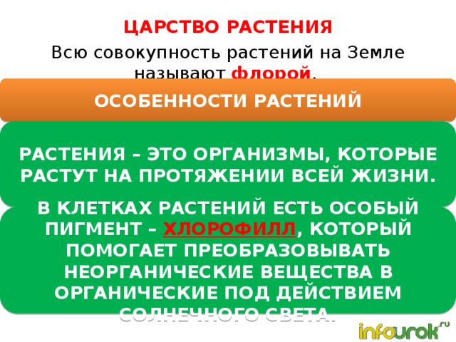 Как называется совокупность животных. Как называется совокупность всех растительных организмов. Совокупность всех растений. Как называется совокупность растений?. Совокупность всех растений на земле как называется \.