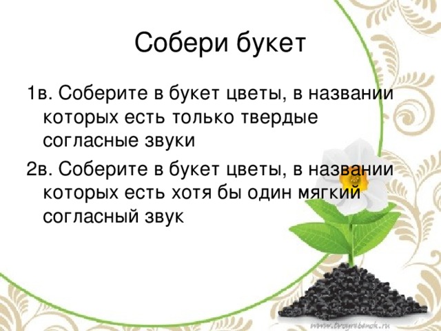 1в. Соберите в букет цветы, в названии которых есть только твердые  согласные звуки 2в. Соберите в букет цветы, в названии которых есть хотя бы один мягкий согласный звук