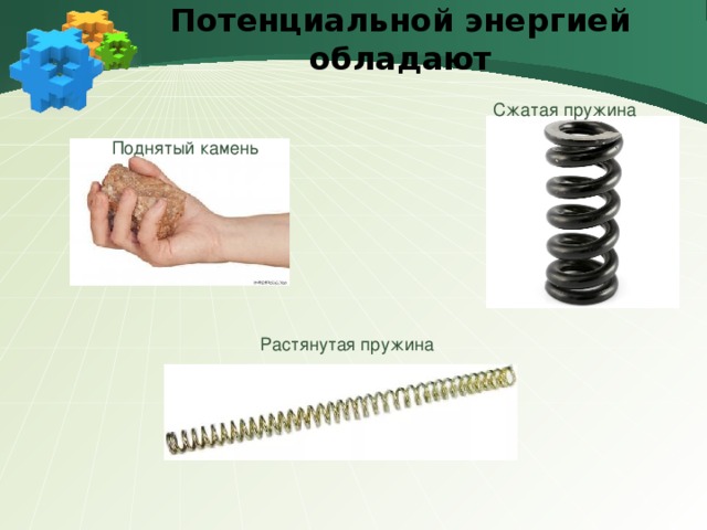 Потенциальной энергией обладают Сжатая пружина Поднятый камень Растянутая пружина