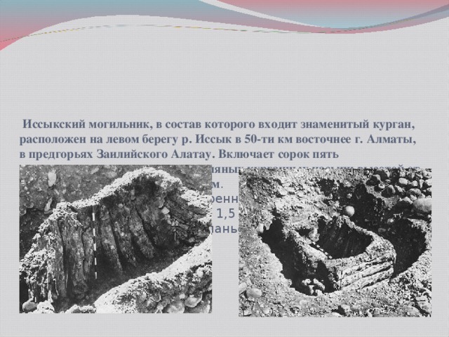 Иссыкский могильник, в состав которого входит знаменитый курган, расположен на левом берегу р. Иссык в 50-ти км восточнее г. Алматы, в предгорьях Заилийского Алатау. Включает сорок пять вытянувшихся с севера на юг земляных курганных насыпи высотой от 4 до 15 м и диаметром от 30 до 90 м .  Погребальная камера (внутренние размеры - 2,9х1,5 м, внешние - 3,3х1,9 м, глубина 1,5 м) была выполнена из обработанных бревен тянь-шаньской ели .