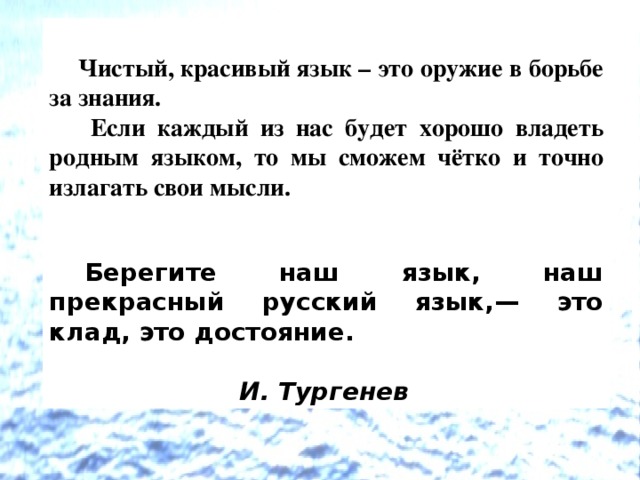  Чистый, красивый язык – это оружие в борьбе за знания.  Если каждый из нас будет хорошо владеть родным языком, то мы сможем чётко и точно излагать свои мысли.     Берегите наш язык, наш прекрасный русский язык,— это клад, это достояние.   И. Тургенев 