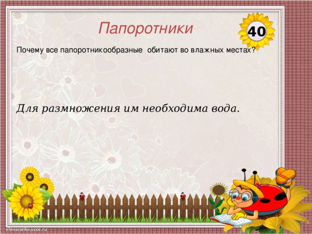 Папоротники 40 Почему все папоротникообразные обитают во влажных местах? Для размножения им необходима вода.  