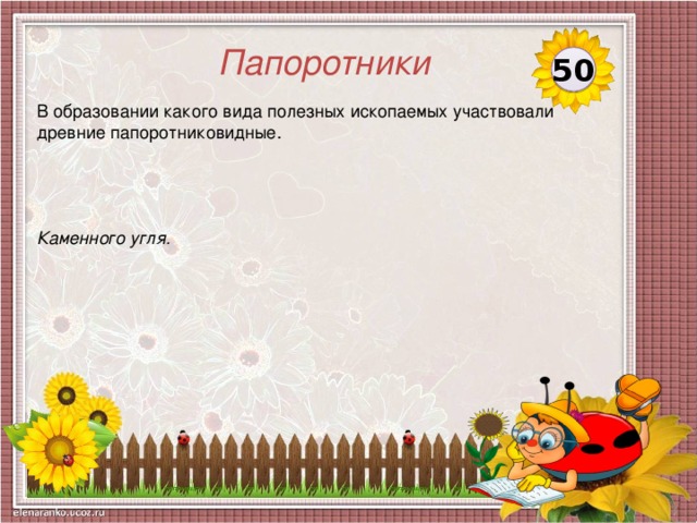 Папоротники 50 В образовании какого вида полезных ископаемых участвовали древние папоротниковидные. Каменного угля.  