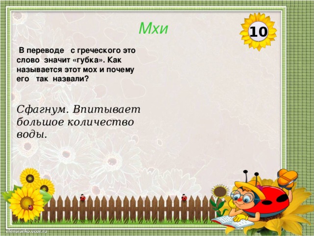 Мхи 10  В переводе  с греческого это слово значит «губка». Как называется этот мох и почему его так назвали? Сфагнум. Впитывает большое количество воды.  
