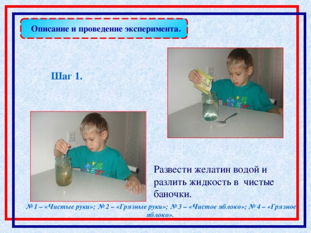 Описание и проведение эксперимента. Шаг 1.  Р азве сти желатин водой и разли ть жидкость в  чистые  баночки.  № 1 – «Чистые руки»;  № 2 – «Грязные руки»;  № 3 – «Чистое яблоко»;  № 4 – «Грязное яблоко».