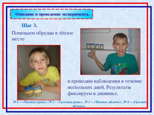 Описание и проведение эксперимента. Шаг 3 .  Помещаем образцы в тёплое место и проводим наблюдения в течение нескольких дней. Результаты фиксируем в дневнике. № 1 – «Чистые руки»;  № 2 – «Грязные руки»;  № 3 – «Чистое яблоко»;  № 4 – «Грязное яблоко».