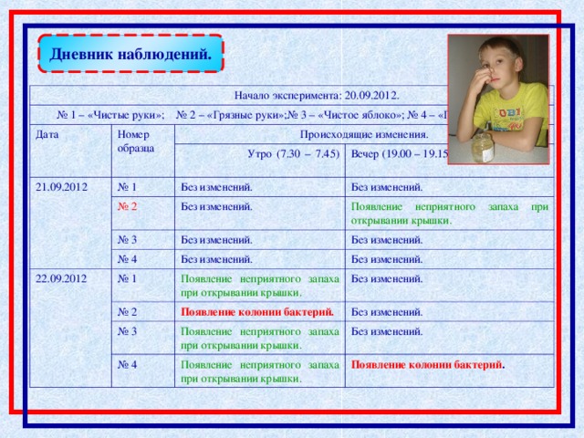 Дневник наблюдений.  Начало эксперимента: 20. 09 .201 2 .  № 1 – «Чистые руки»;  № 2 – «Грязные руки»;№ 3 – «Чистое яблоко»;  № 4 – «Грязное яблоко». Дата Номер образца 21. 09 .201 2 Происходящие изменения. № 1  Утро (7.30 – 7.45)  Вечер (19.00 – 19.15) Без изменений. № 2 Без изменений. Без изменений. № 3 Появление неприятного запаха при открывании крышки. 22. 09 .20 12 № 4 Без изменений. Без изменений. Без изменений. № 1 Без изменений. Появление неприятного запаха при открывании крышки. № 2 Без изменений. Появление колонии бактерий. № 3 Без изменений. Появление неприятного запаха при открывании крышки. № 4 Без изменений. Появление неприятного запаха при открывании крышки. Появление колонии бактерий .